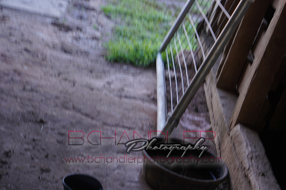 DSC03434