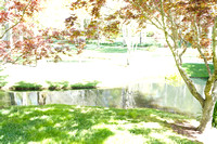 DSC03932